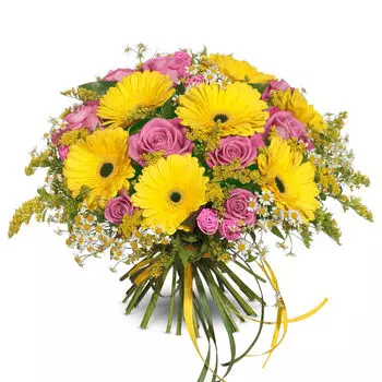 Мелодия цвета: Герберы и розы