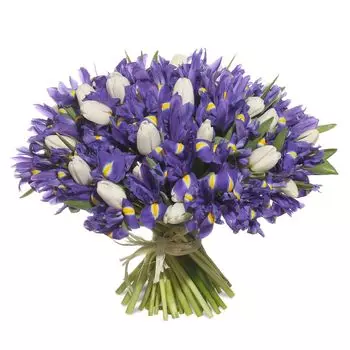 Мелодия весны: Ирисы и тюльпаны