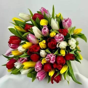 Микс из 51 тюльпана