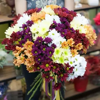 Микс кустовых хризантем