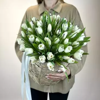 Море тюльпанов