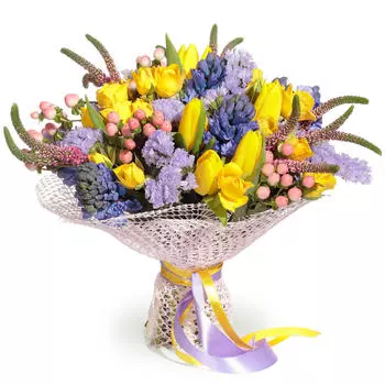 Небо на ладони: Тюльпаны и гиацинты