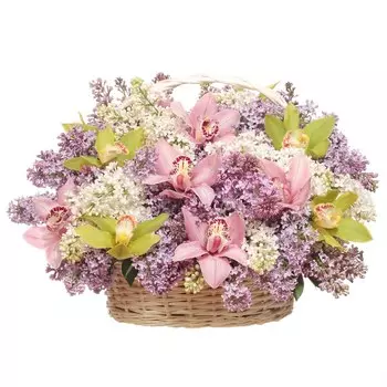 Неделя счастья: Орхидеи