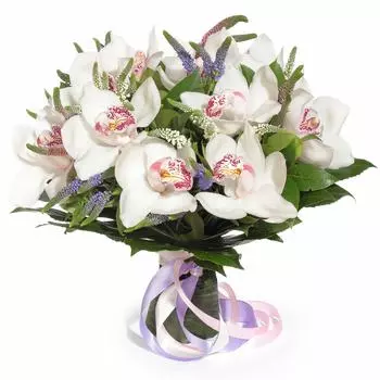 Нефела: Орхидеи и вероника