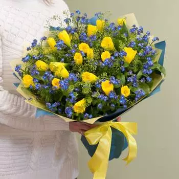 Незабудки и нарциссы