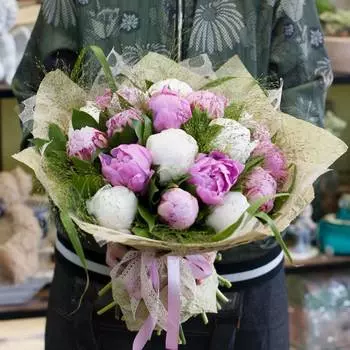 Нежные пионы