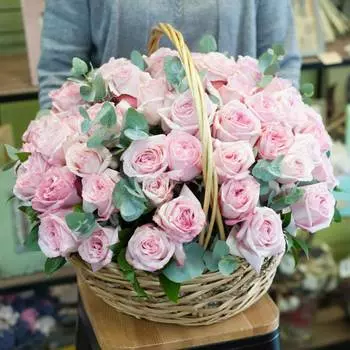 Нежные розы