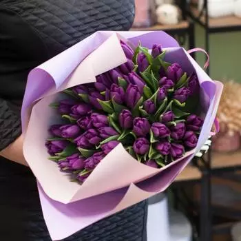 Ночные чары