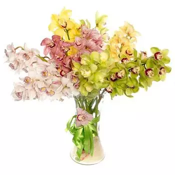 Орхидеи: Орхидеи