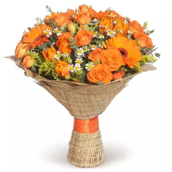 Потанцуй со мной: Тюльпаны и герберы