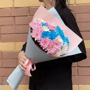 Радужная хризантема