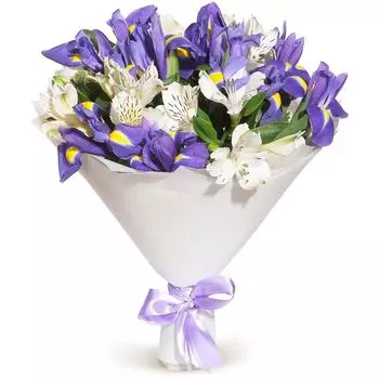 Ривьера: Ирисы и альстромерия