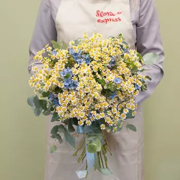 Ромашки-незабудки