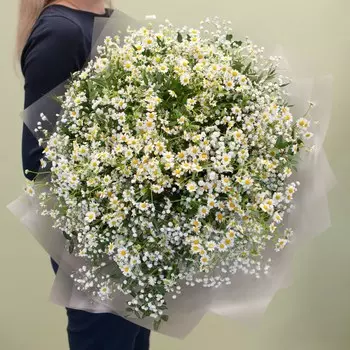 Ромашковые облака