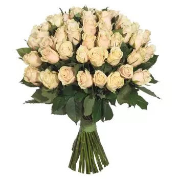 Роза чайная