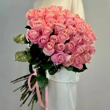 Роза Эквадор Hermosa (60 см)