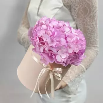 Розовая гортензия в шляпной коробке