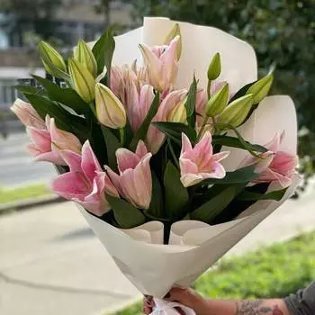 Розовые сны (голландская лилия)