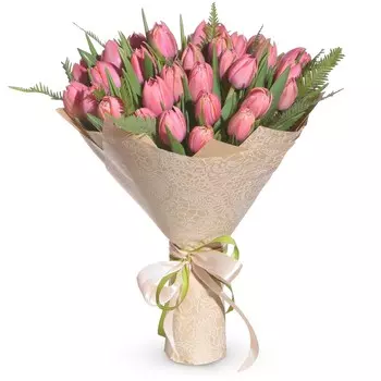 Розовые тюльпаны: Тюльпаны и амбрелла