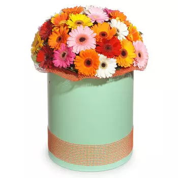 С днем рождения!: Микс гербер