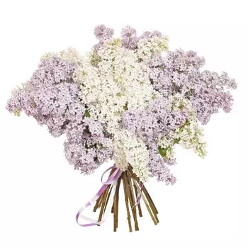 Сиреневые облака: Экзотические и экзоты