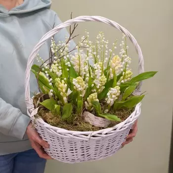 Сказки братьев Гримм