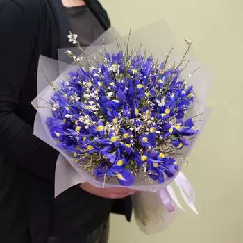 Сказочные ирисы