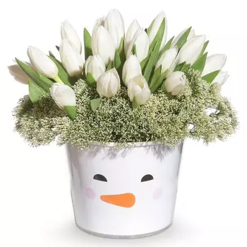 Снежные тюльпаны: Тюльпаны