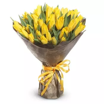 Солнечное сияние: Желтые тюльпаны