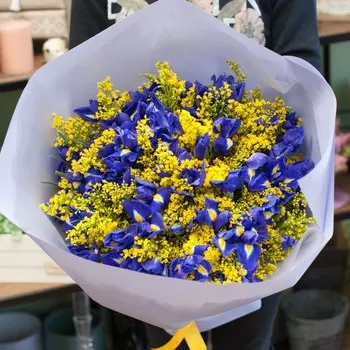 Солнечное Утро