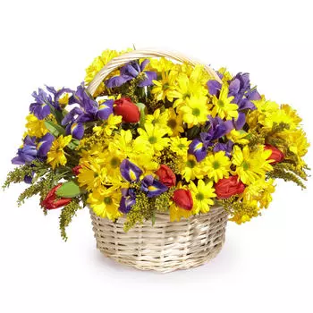 Солнечные зайчики: Хризантемы и ирисы