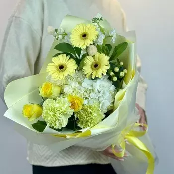 Солнечный луч