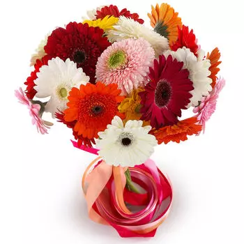 Солнечный микс: Герберы