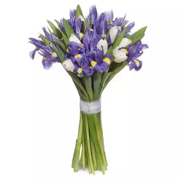 Совершенство: Ирисы и тюльпаны