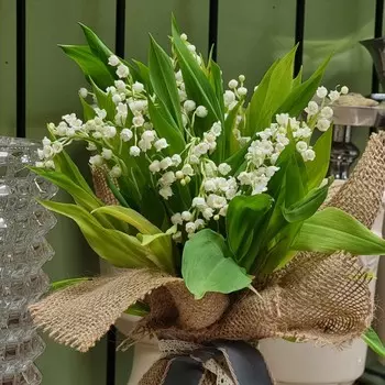 Светлого мая привет