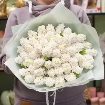 Тайны Белоснежки