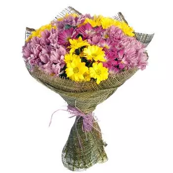 Территория чувств: Микс хризантем