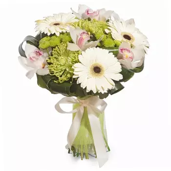 Тропическая сюита: Герберы и орхидеи