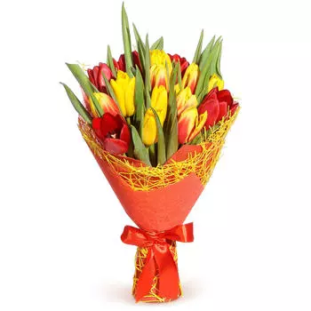 Тюльпаномания