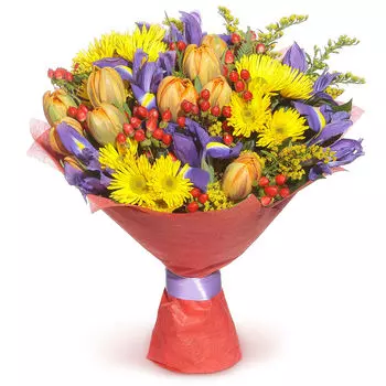 Утренний: Тюльпаны и ирисы