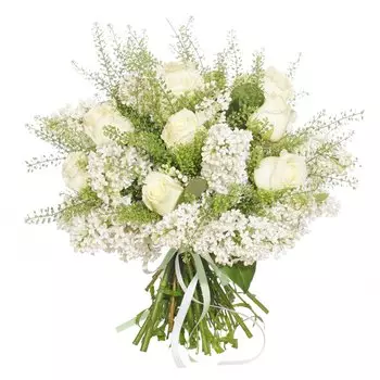 Утренняя звезда