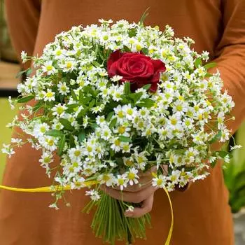 В кругу друзей