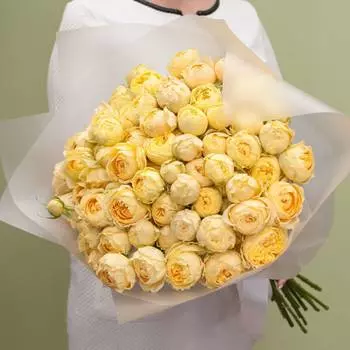 Ванила Каталина