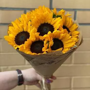 Великолепные подсолнухи