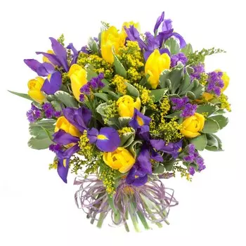 Весеннее настроение: Ирисы и тюльпаны