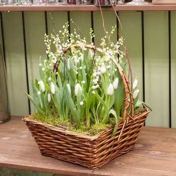 Весенняя полянка