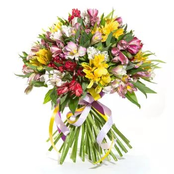 Весна на Монмартре: Микс альстромерии