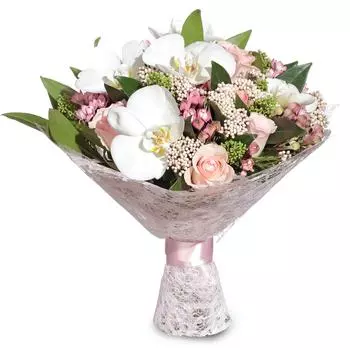 Вестник счастья: Орхидеи и бувардия