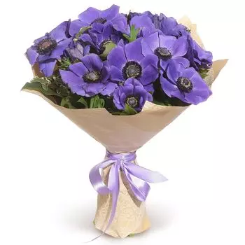 Виолетта: Анемоны