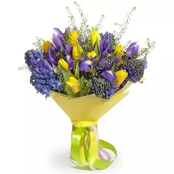 Волшебный мир: Тюльпаны и гиацинты